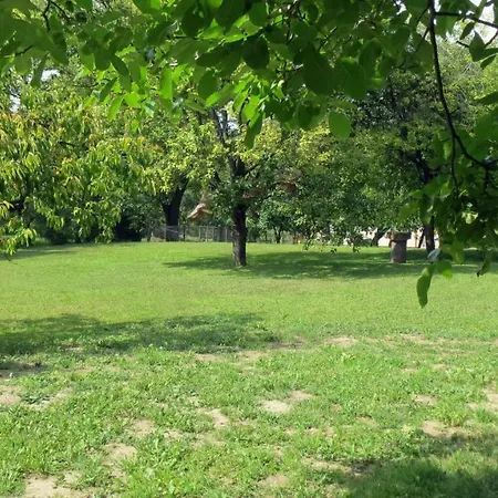 Case de vacanță Falusi Vendeghaz, Rural *